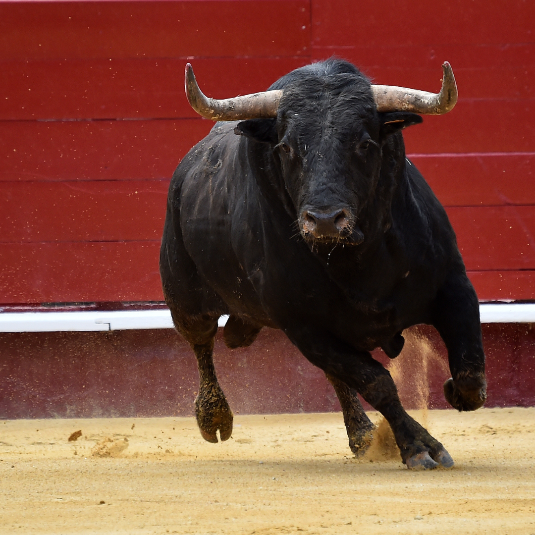 Late-Night Eating Myth